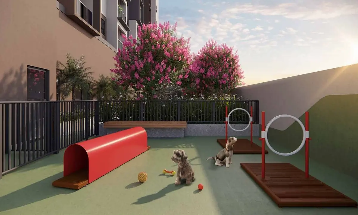 O pet place ao ar livre, com um túnel vermelho, um aro de salto e dois cachorros brincando.
