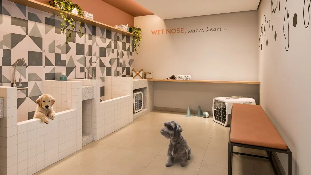 O banho pet com a banheira elevada e um cachorro no piso.